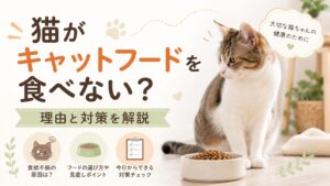 猫がキャットフードを食べない理由と対策を解説する記事のアイキャッチ画像。フードを前に顔をそらす猫と、食器、対策チェックのイラストを配置