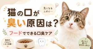 猫の口臭の原因とフードでできる口臭ケアを解説する記事のアイキャッチ画像。猫、キャットフード、歯のイラスト、猫用歯ブラシを配置